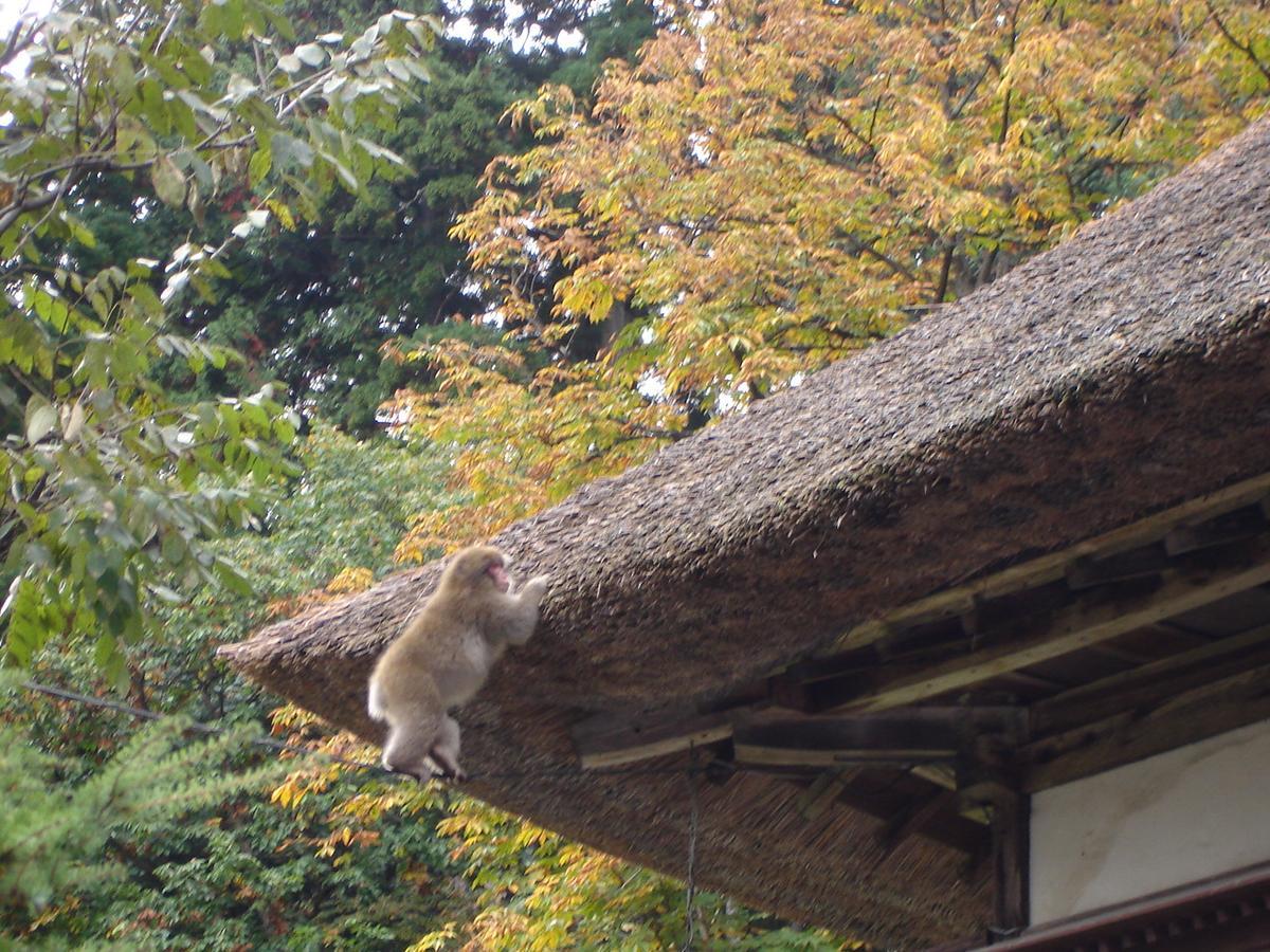 Nishiya Hotel Yonezawa Luaran gambar