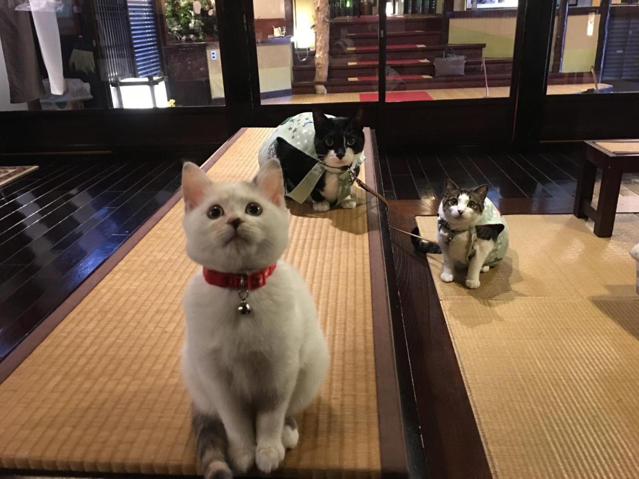 Nishiya Hotel Yonezawa Luaran gambar